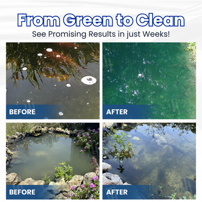 Clear Green Pond Water Without Harsh Chemicals