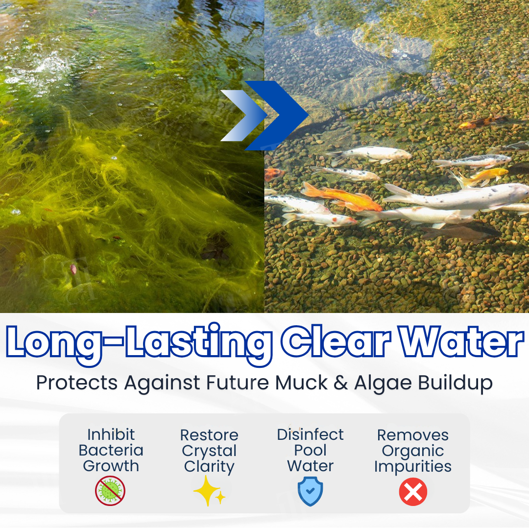 Clear Green Pond Water Without Harsh Chemicals