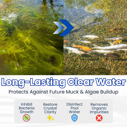 Clear Green Pond Water Without Harsh Chemicals